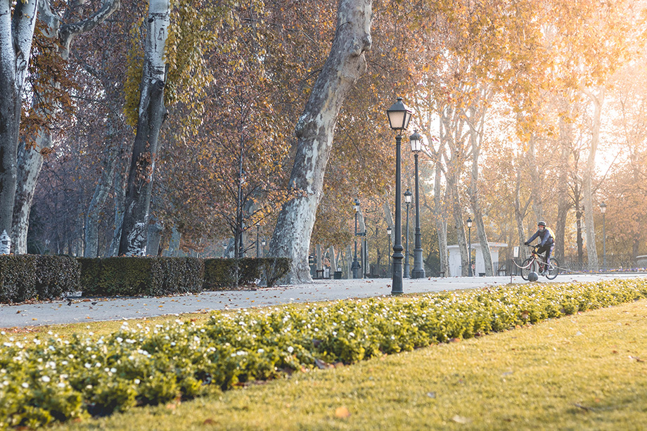 Parque del Retiro