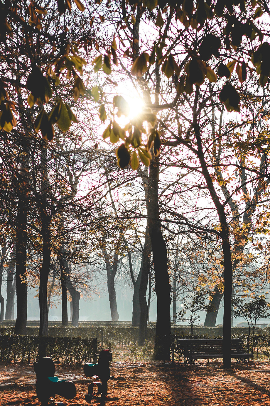 Parque del Retiro