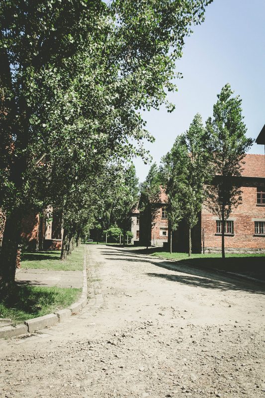 Visitar Auschwitz