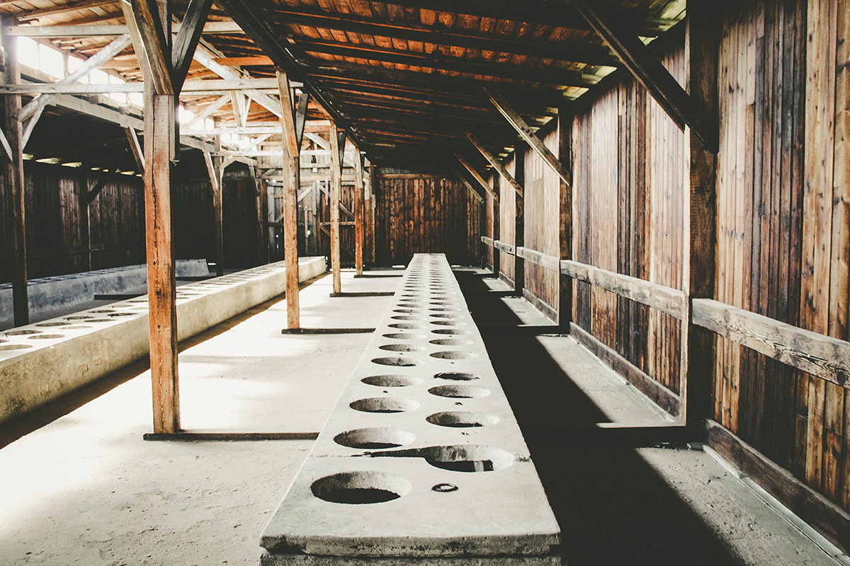 Visitar Auschwitz