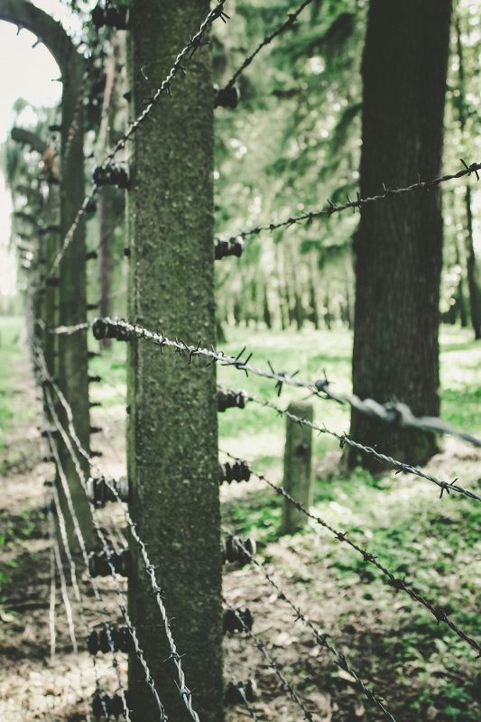 Visitar Auschwitz